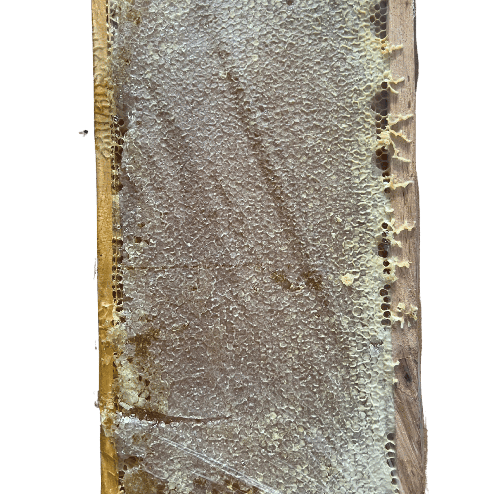 Erzincan Çiçek Balı